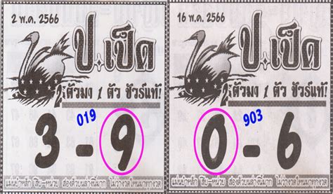 thai lottery 123|Thai Lottery Tips To Help You Win Big .